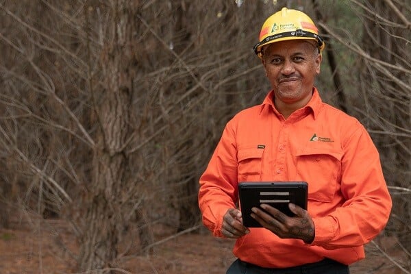 forestry corp case study image 2